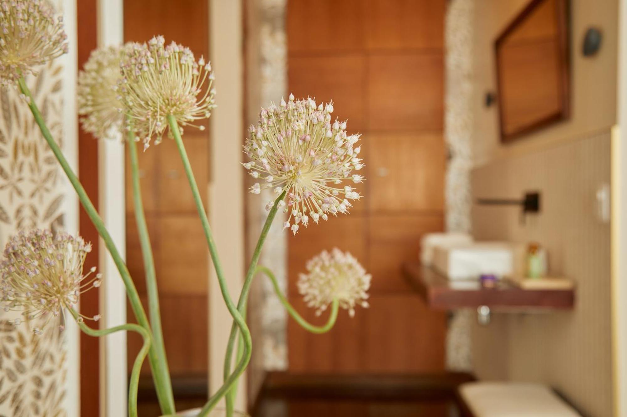 Maison Mama Ruisa Hotel Rio de Janeiro Bagian luar foto